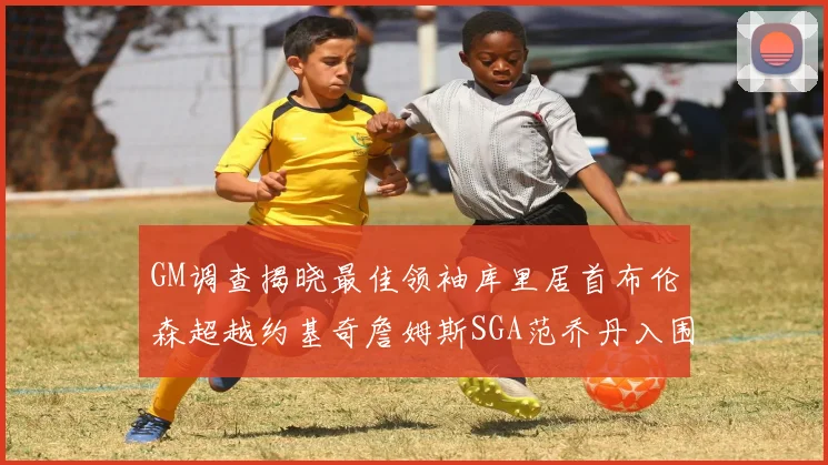 GM调查揭晓最佳领袖库里居首布伦森超越约基奇詹姆斯SGA范乔丹入围