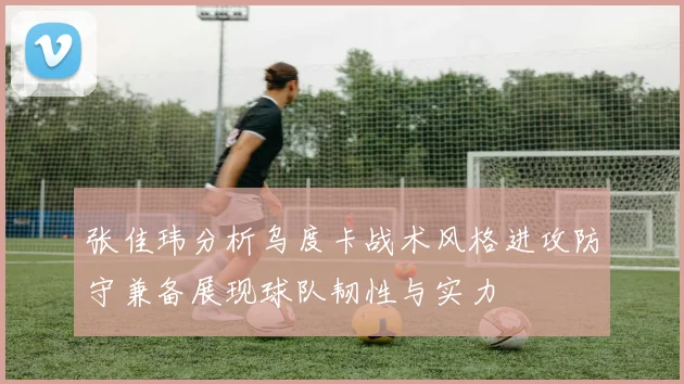 张佳玮分析乌度卡战术风格进攻防守兼备展现球队韧性与实力