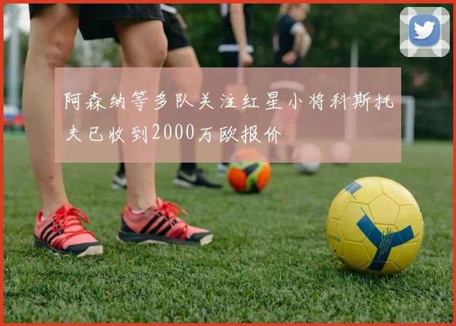阿森纳等多队关注红星小将科斯托夫已收到2000万欧报价