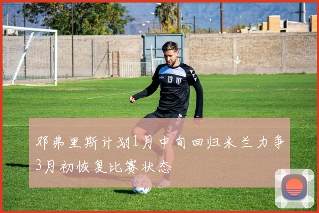 邓弗里斯计划1月中旬回归米兰力争3月初恢复比赛状态
